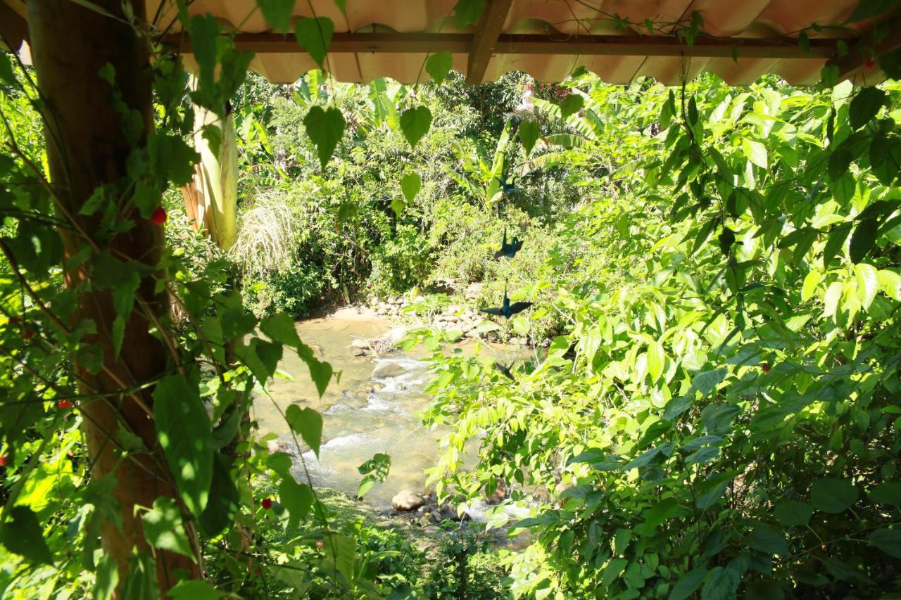 Casa Flor - Beira Rio Centro De Lumiar Holiday home Lumiar