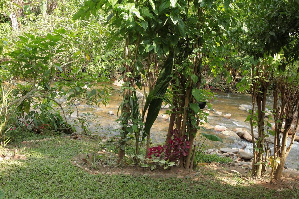 Casa Flor - Beira Rio Centro De Lumiar Holiday home